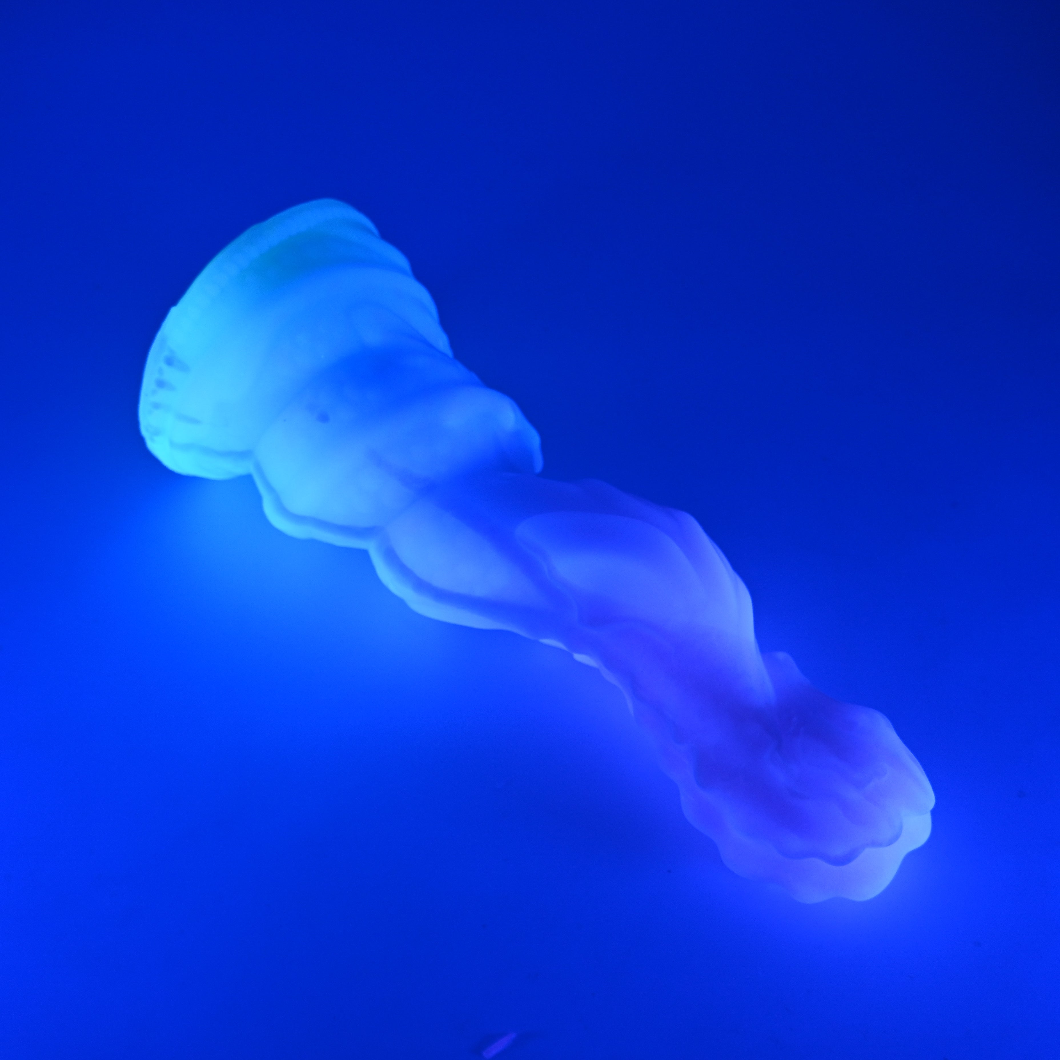 H5SJX67 Hydrae XL 0030 UV GITD CS