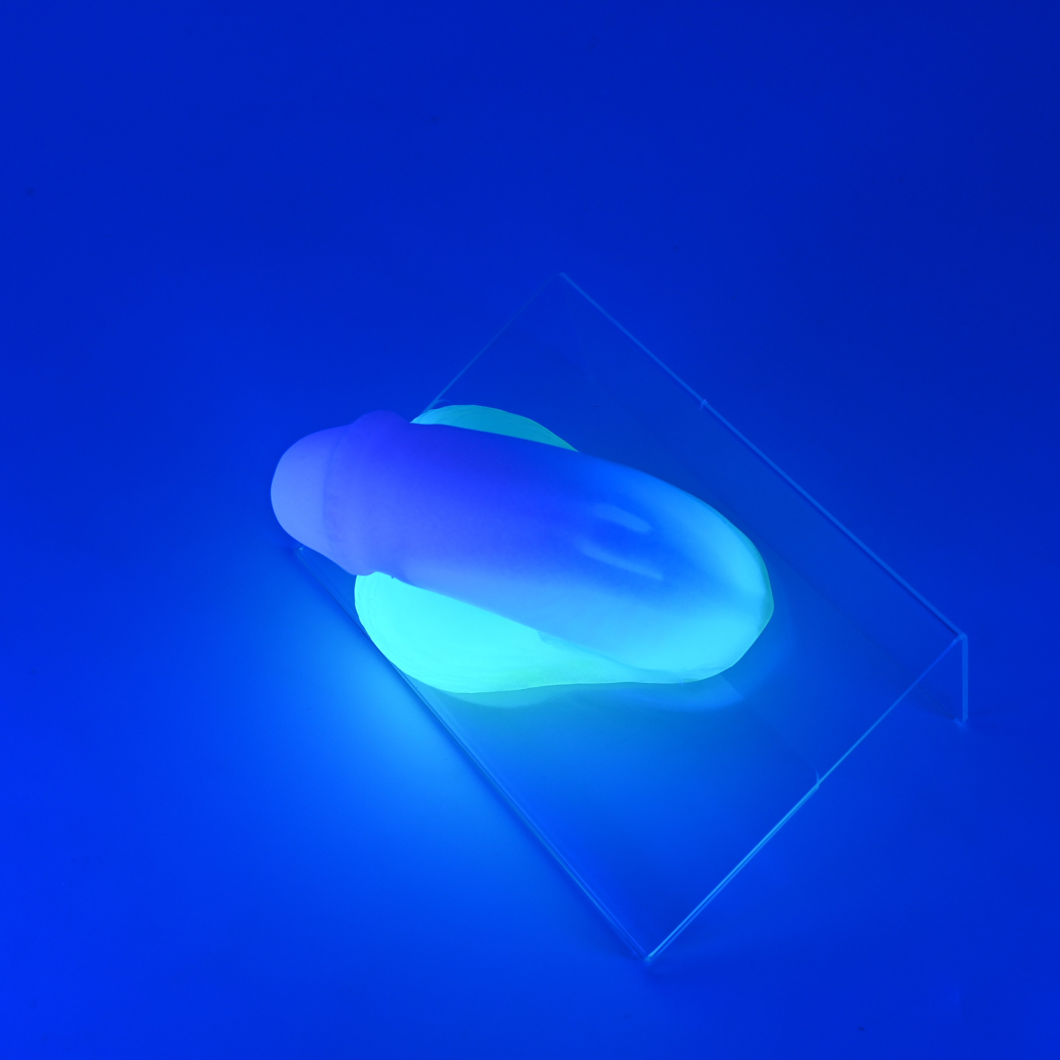 PCSJY05 Cut Packer 0030 UV GITD CS