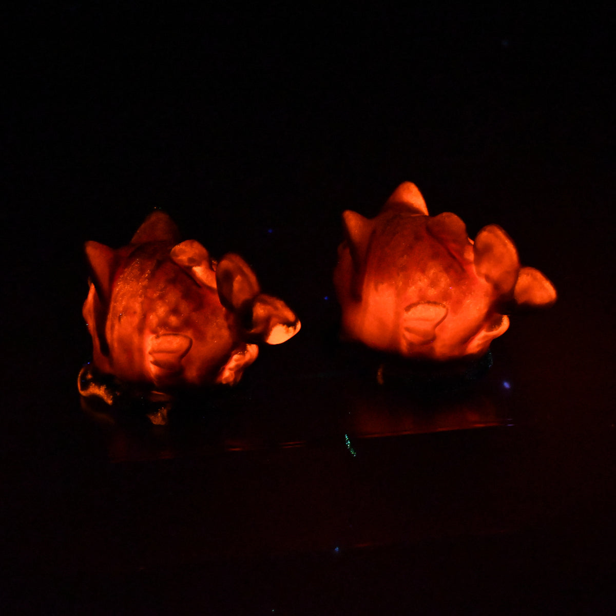 Tai-nya-ki 0030 UV GITD