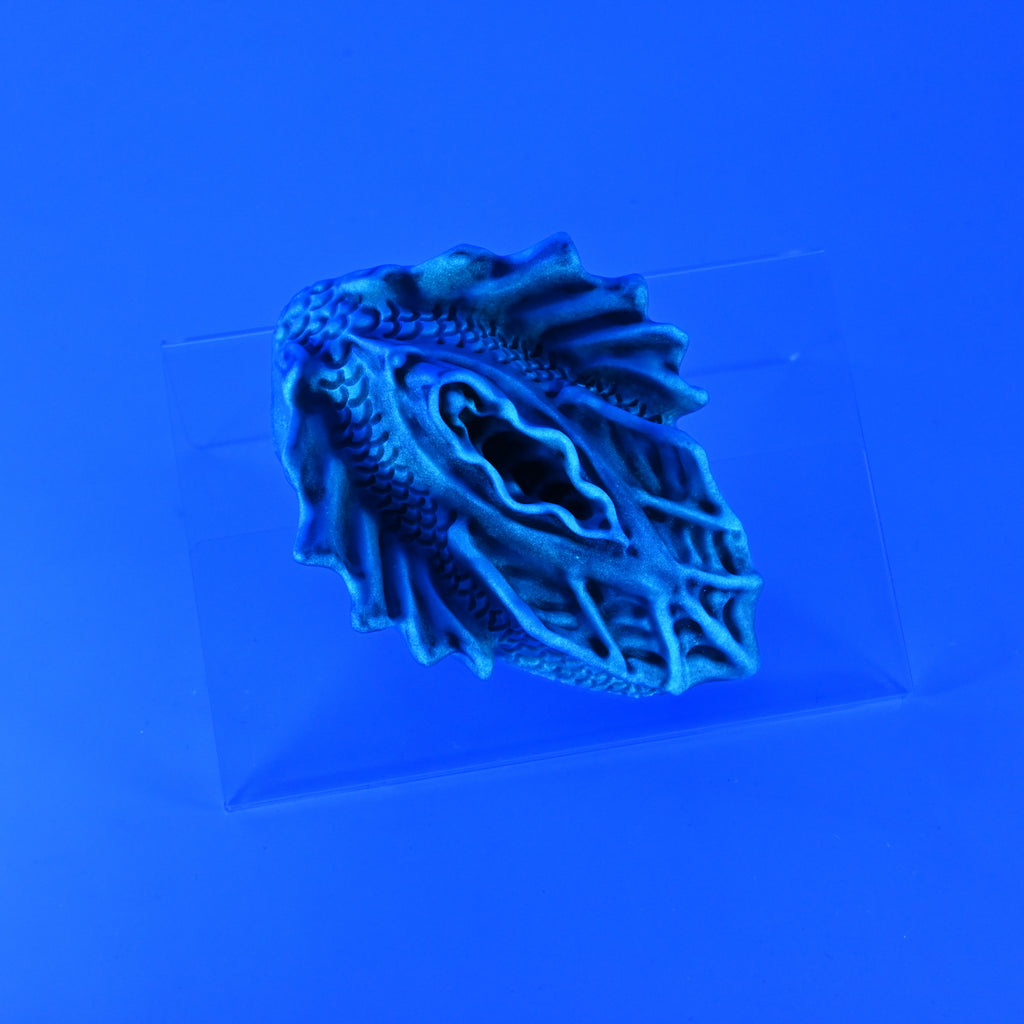 C2SJZ33 Calypso Small 0030 UV GITD