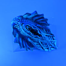 Load image into Gallery viewer, C4SJZ36 Calypso Large 0030 UV GITD
