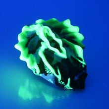 Load image into Gallery viewer, C2MDT06 Calypso Small 0050 UV GITD
