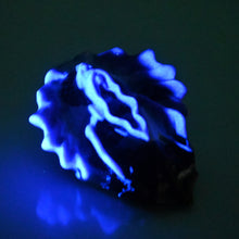 Load image into Gallery viewer, C2SDT10 Calypso Small 0030 UV GITD
