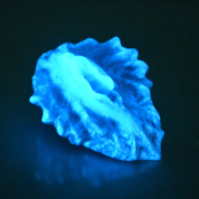 Load image into Gallery viewer, C2MDT05 Calypso Small 0050 UV GITD
