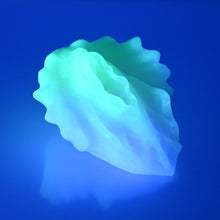 Load image into Gallery viewer, C2SDT04 Calypso Small 0030 UV GITD
