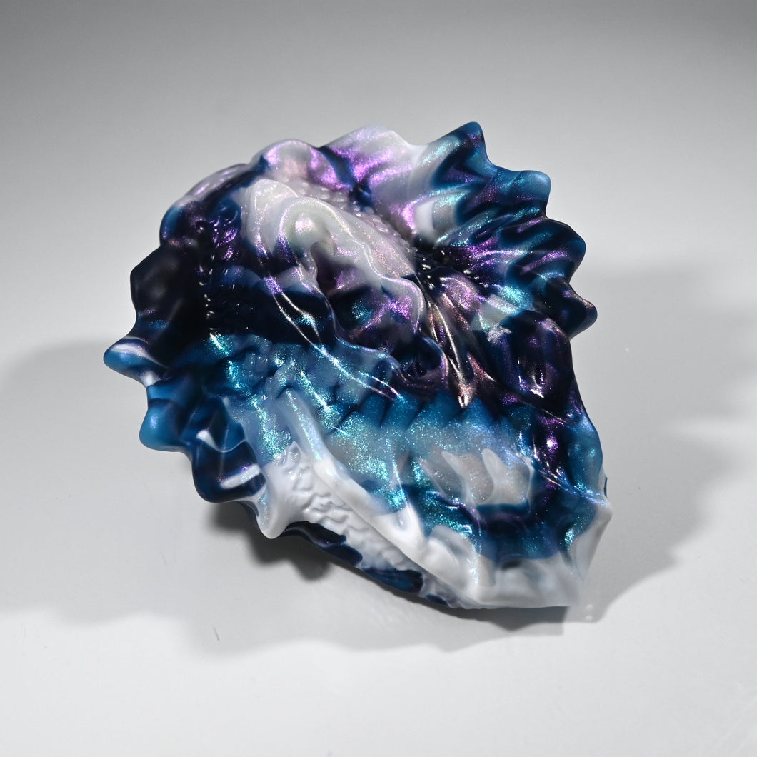 C2XDT09 Calypso Small 0020 CS