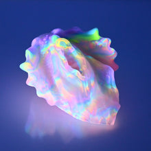 Load image into Gallery viewer, C2TDT03 Calypso Small NC 0031 UV CS
