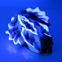 Load image into Gallery viewer, C4MDT18 Calypso Large 0030 UV GITD
