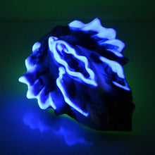 Load image into Gallery viewer, C4MDT18 Calypso Large 0030 UV GITD
