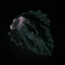 Load image into Gallery viewer, C4MDT13 Calypso Large 0050 UV GITD
