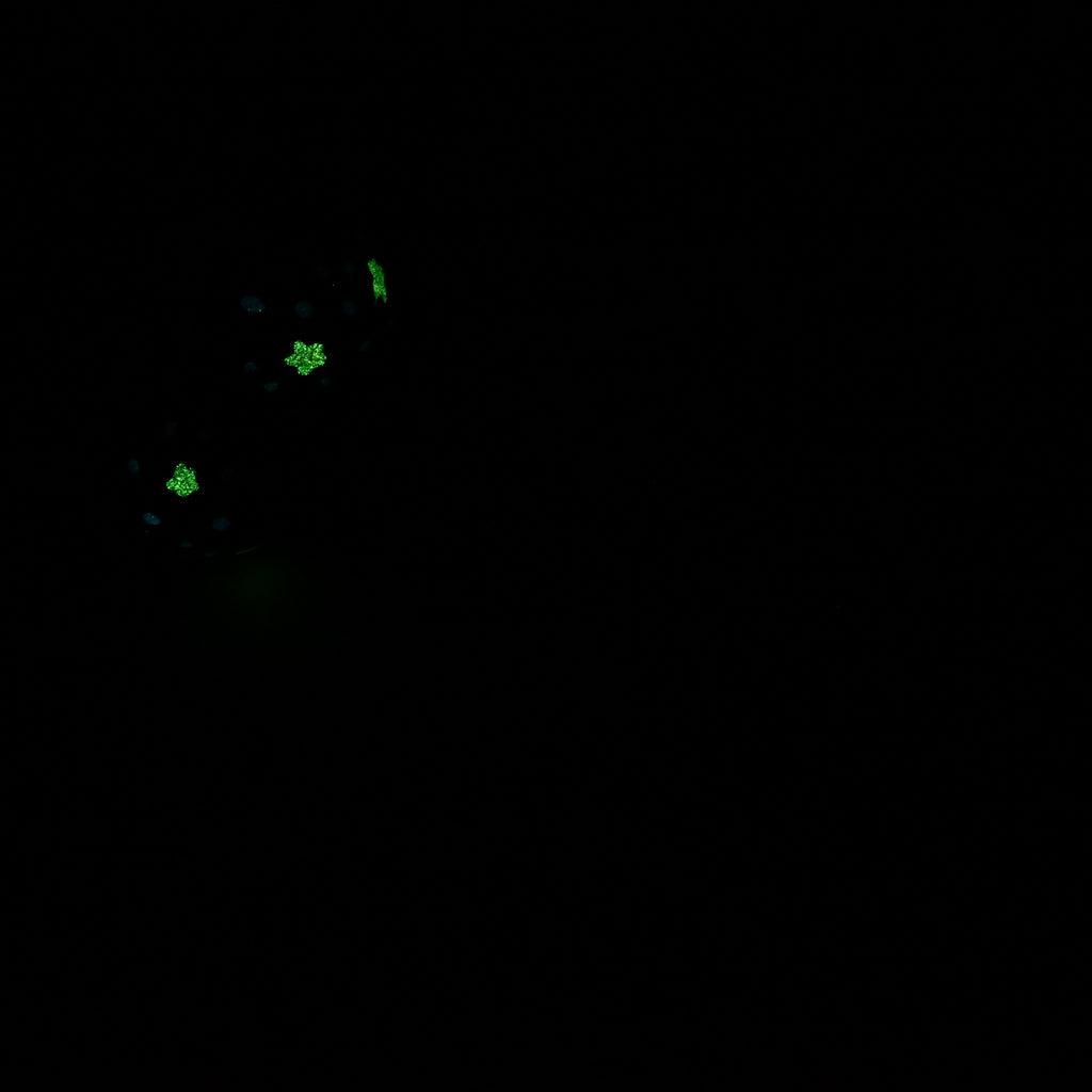 Q3SJZ99 Aquus Medium 0030 UV GITD CS