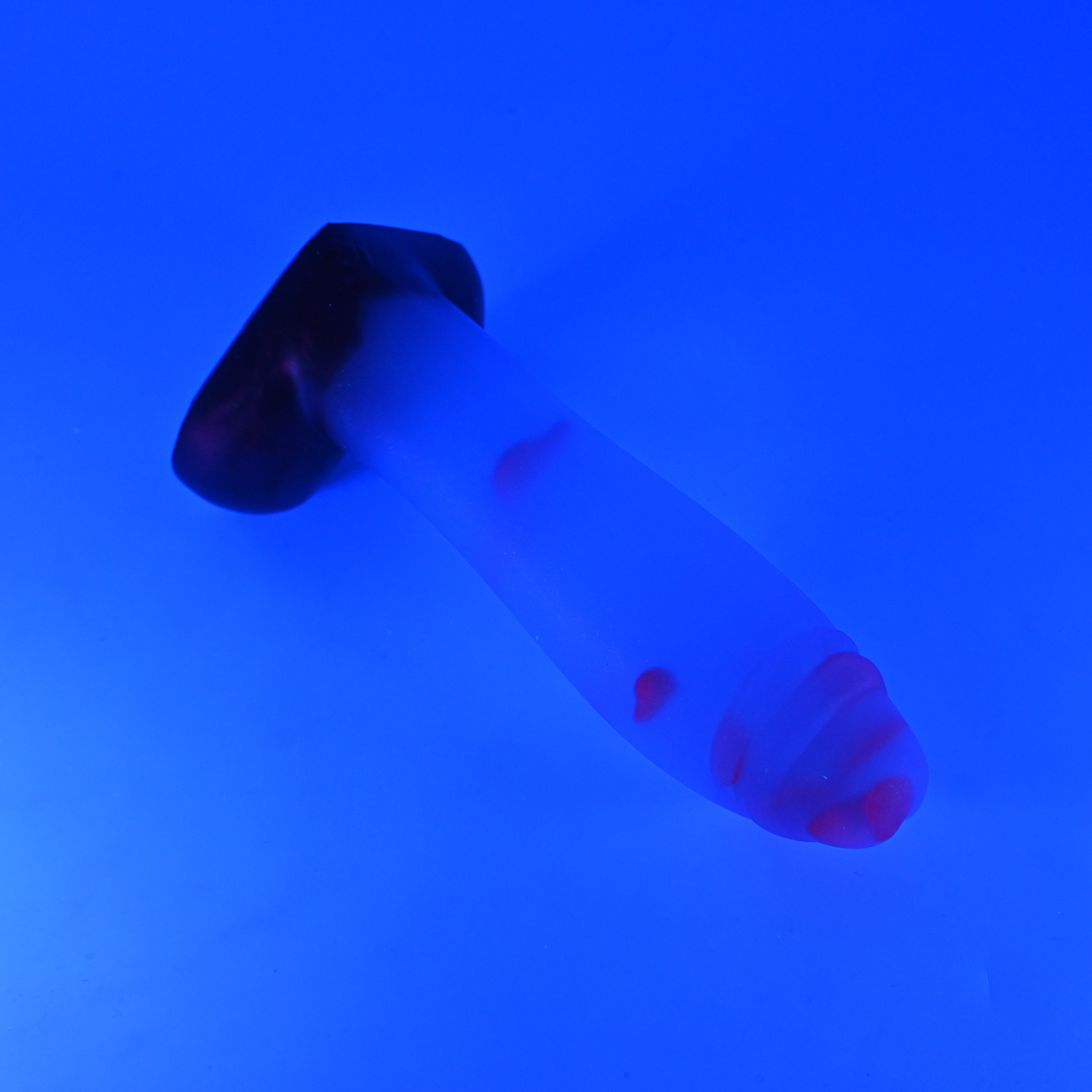 Q3TJZ00 Aquus Medium NC 0031 UV GITD CS