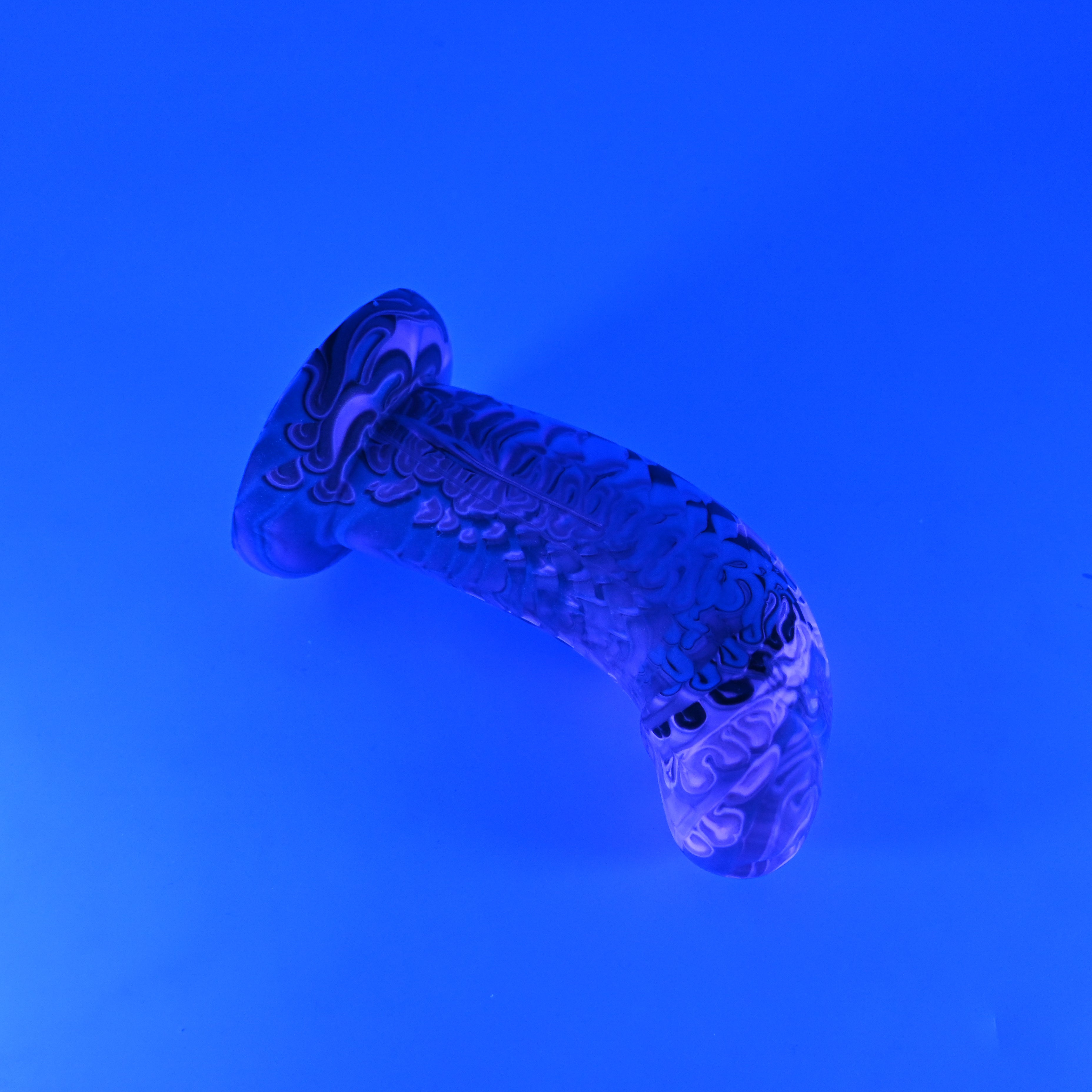 G2MJZ43 Ignis Small 0050 UV GITD