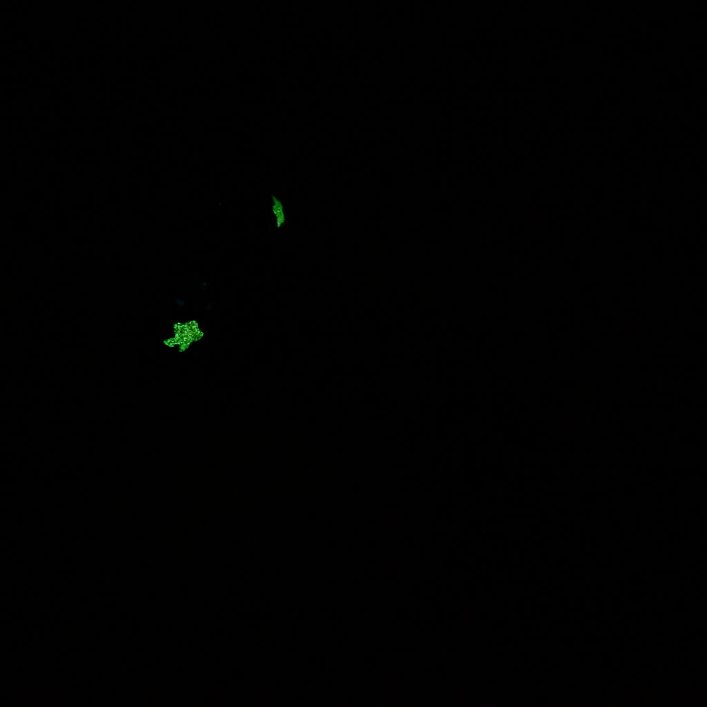 G2SJZ45 Ignis Small 0030 UV GITD CS