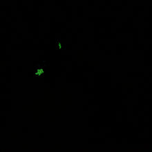 Load image into Gallery viewer, G2SJZ45 Ignis Small 0030 UV GITD CS
