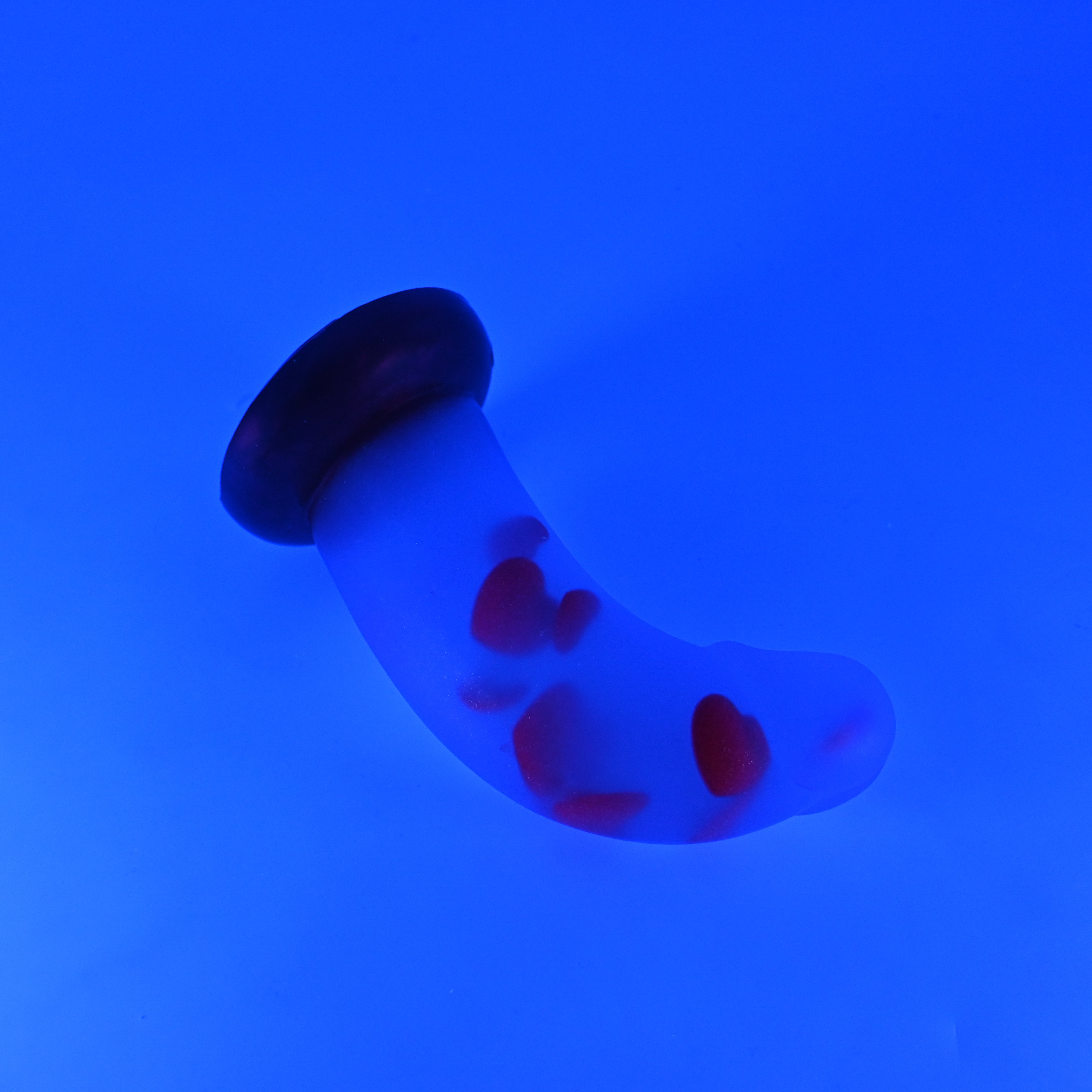 G2TJZ46 Ignis Small NC 0031 UV GITD CS