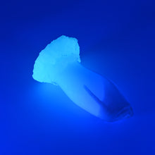 Load image into Gallery viewer, 82MHW36 Hue Small 0050 UV GITD CS
