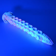 Load image into Gallery viewer, E3XGU92 Illex Medium 0030 UV GITD
