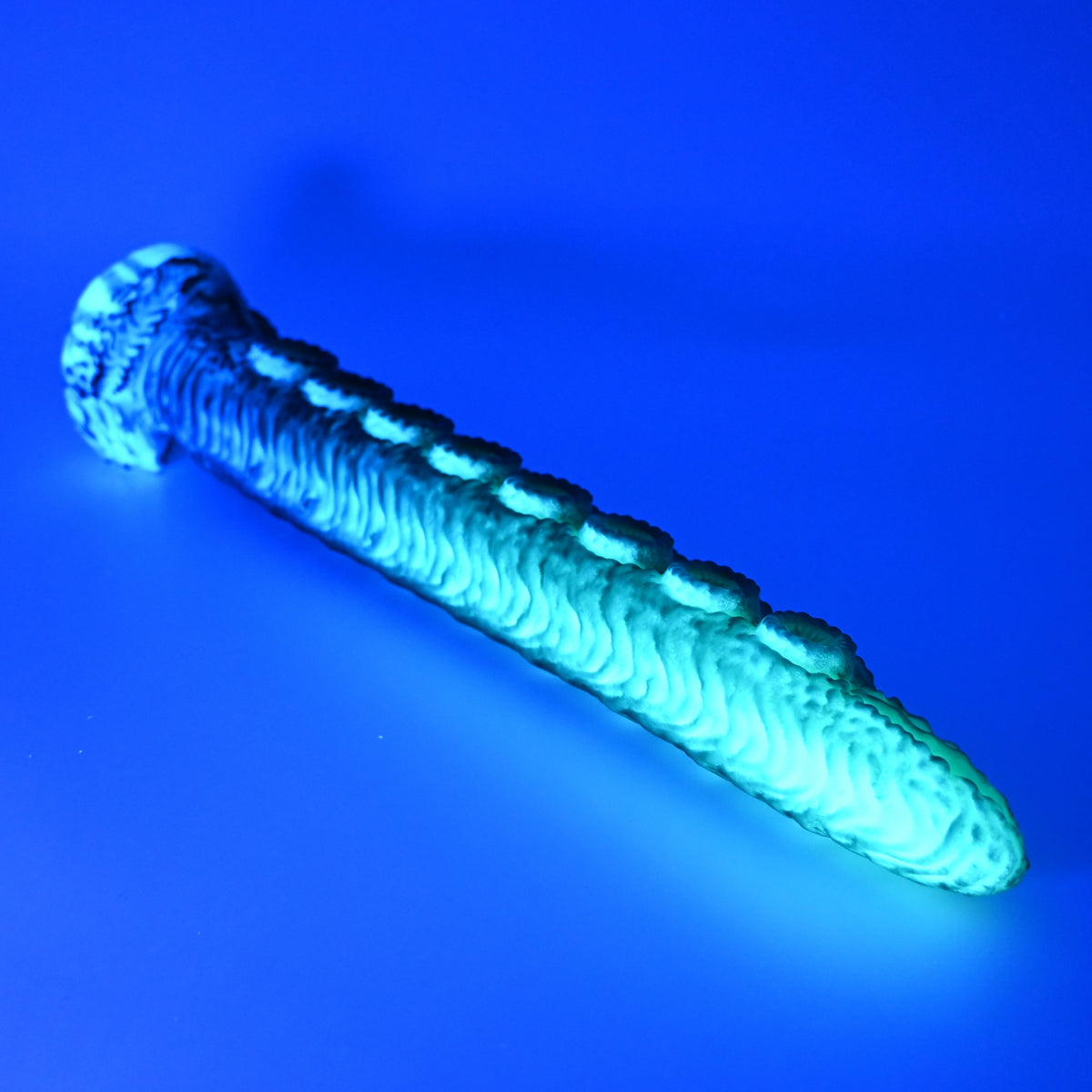 E3XGU94 Illex Medium 0020 UV GITD