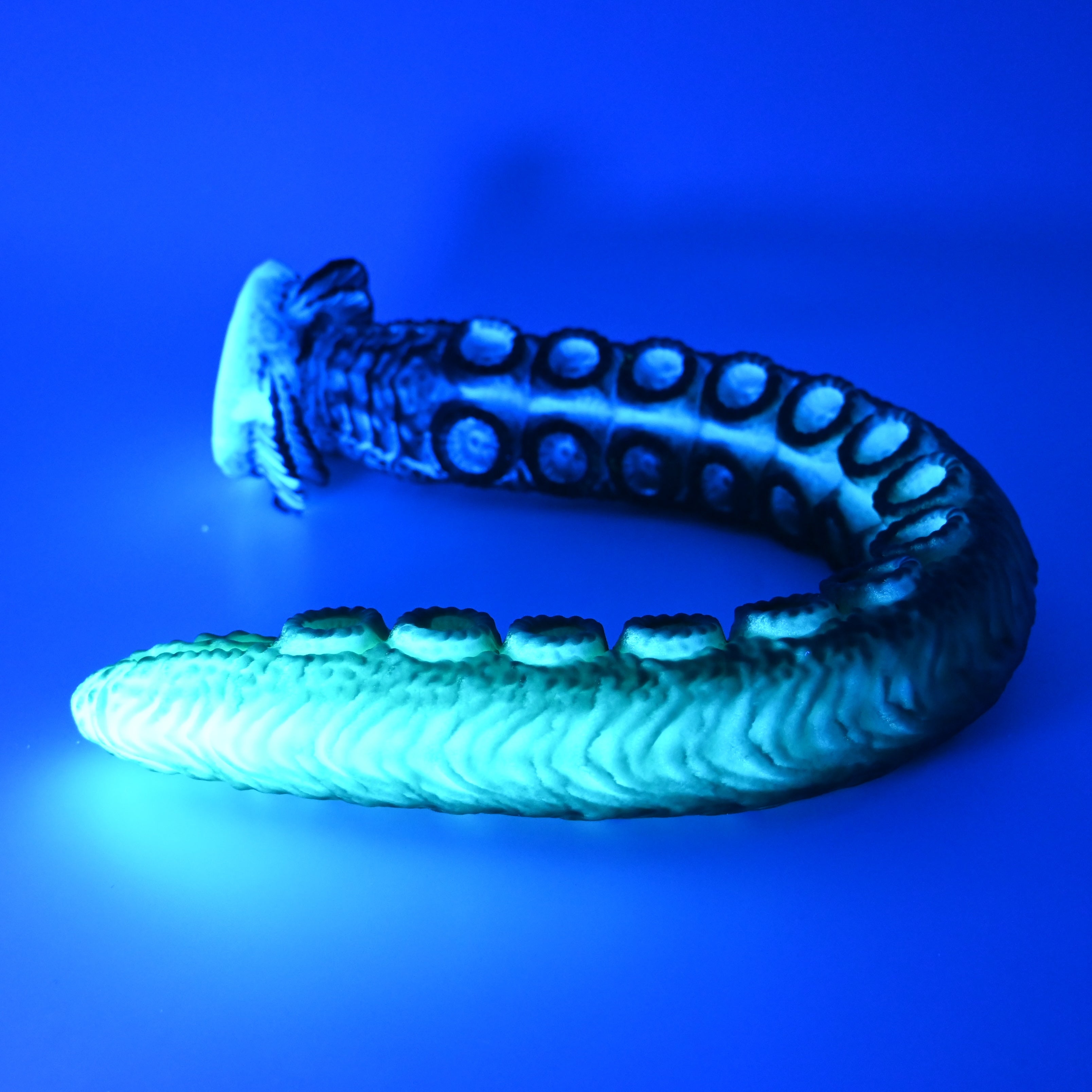 E4XGU98 Illex Large 0020 UV GITD