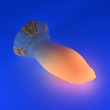 Load image into Gallery viewer, 83MHW44 Hue Medium 0050 UV GITD GHU
