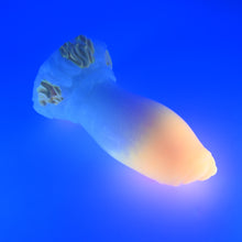 Load image into Gallery viewer, 84MHW48 Hue Large 0050 UV GITD GHPA *FLOP*
