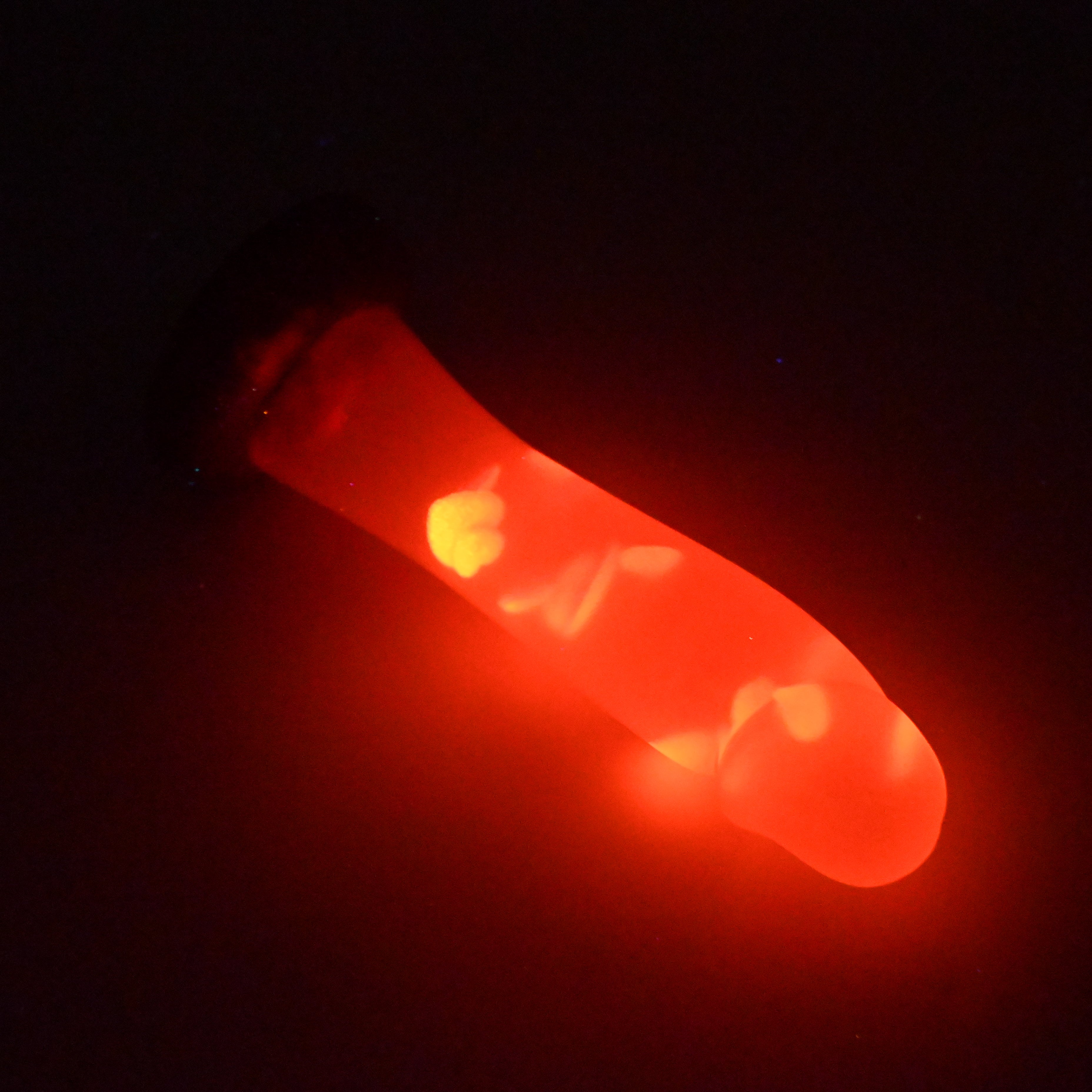 Z3TKA64 Caelus Medium NC 0031 UV GITD CS