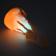 Load image into Gallery viewer, N2MFU27 Nereid Small 0050 UV GITD
