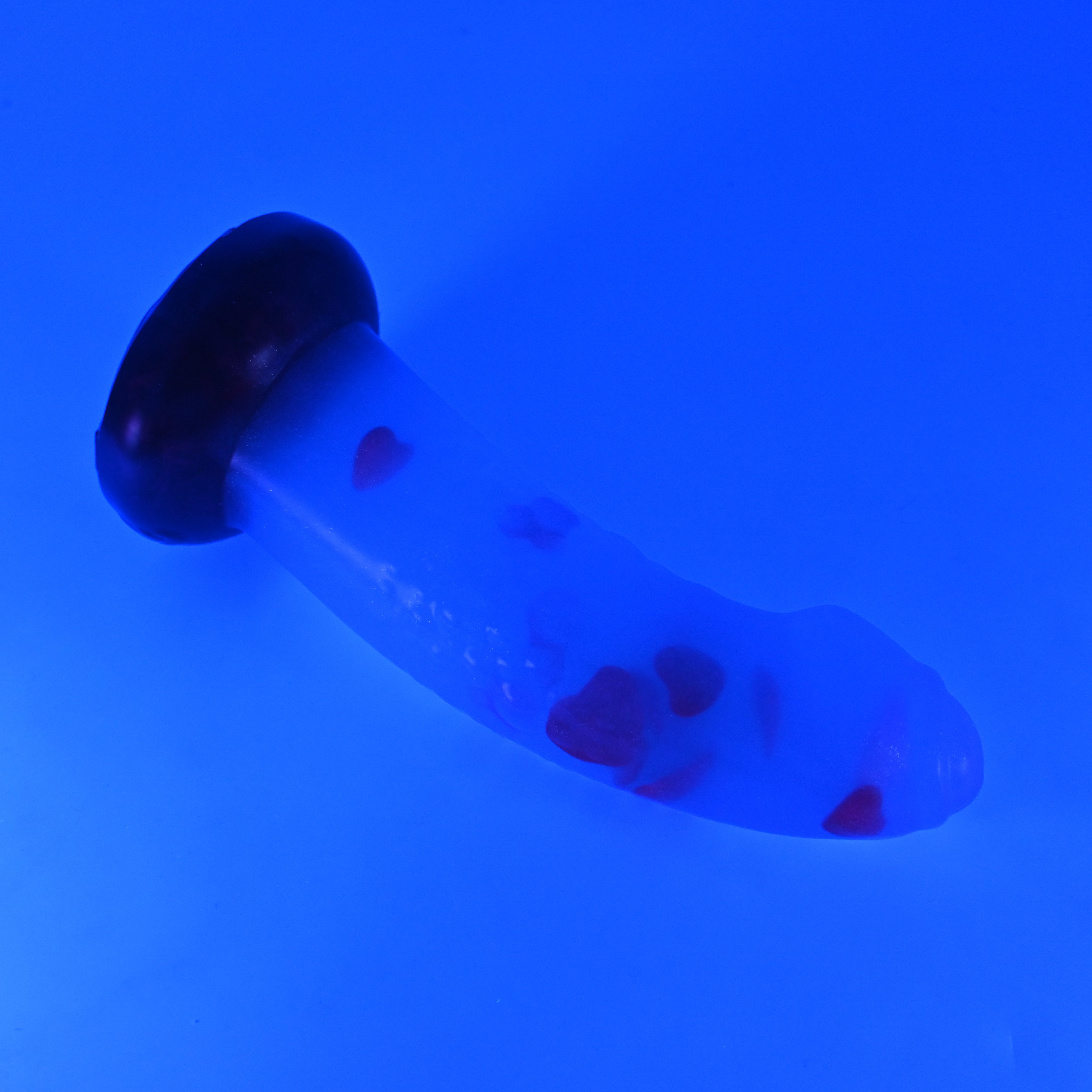 T3TKA15 Titan Medium NC 0031 UV GITD CS