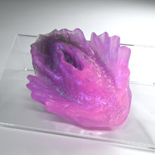 Load image into Gallery viewer, C2TGW32 Calypso Small NC 0031 UV CS
