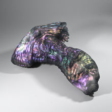 Load image into Gallery viewer, X2TFV29 Shin Small NC 0031 CS

