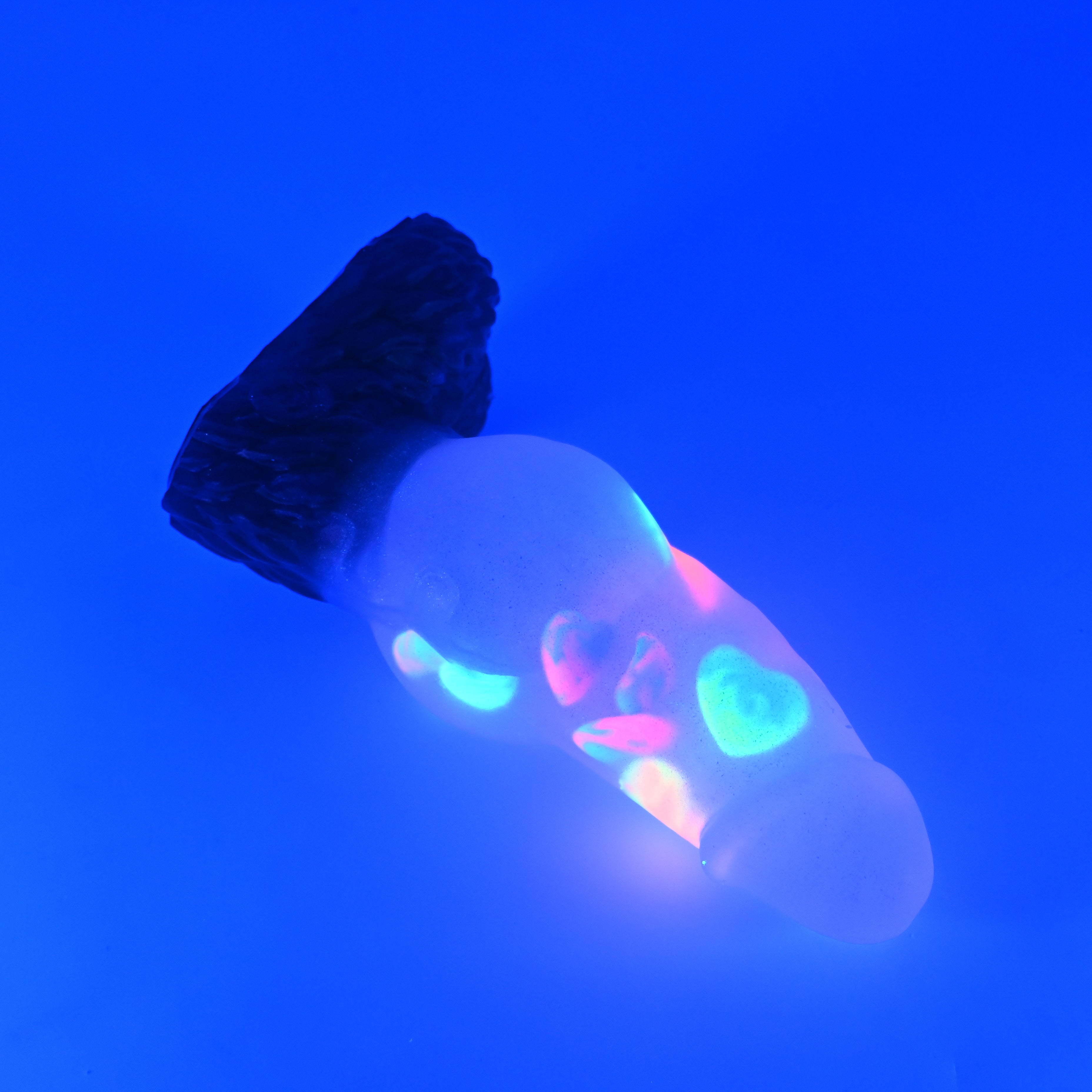 52TJY83 Jacob Small NC 0031 UV GITD CS