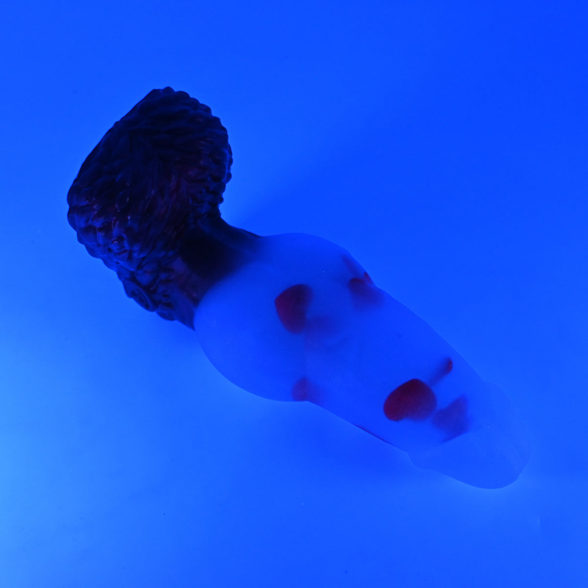 53TJY89 Jacob Medium NC 0031 UV GITD CS