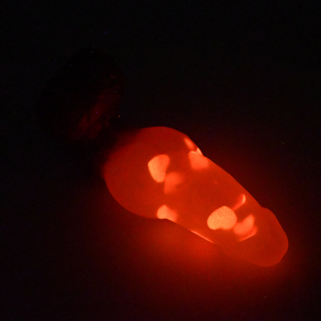 53TJY89 Jacob Medium NC 0031 UV GITD CS