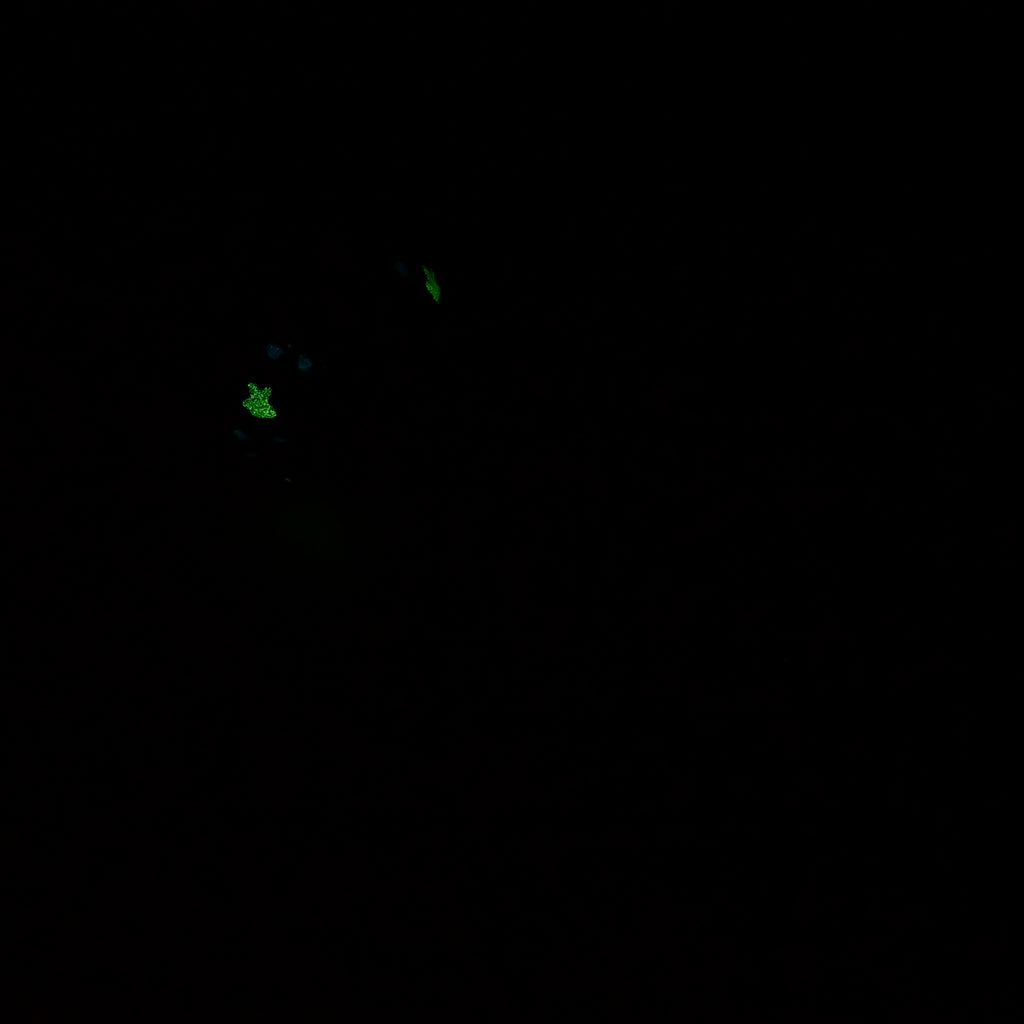 V2SKA35 Vaeriya Small 0030 UV GITD CS *FLOP*