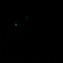Load image into Gallery viewer, V2SKA35 Vaeriya Small 0030 UV GITD CS *FLOP*
