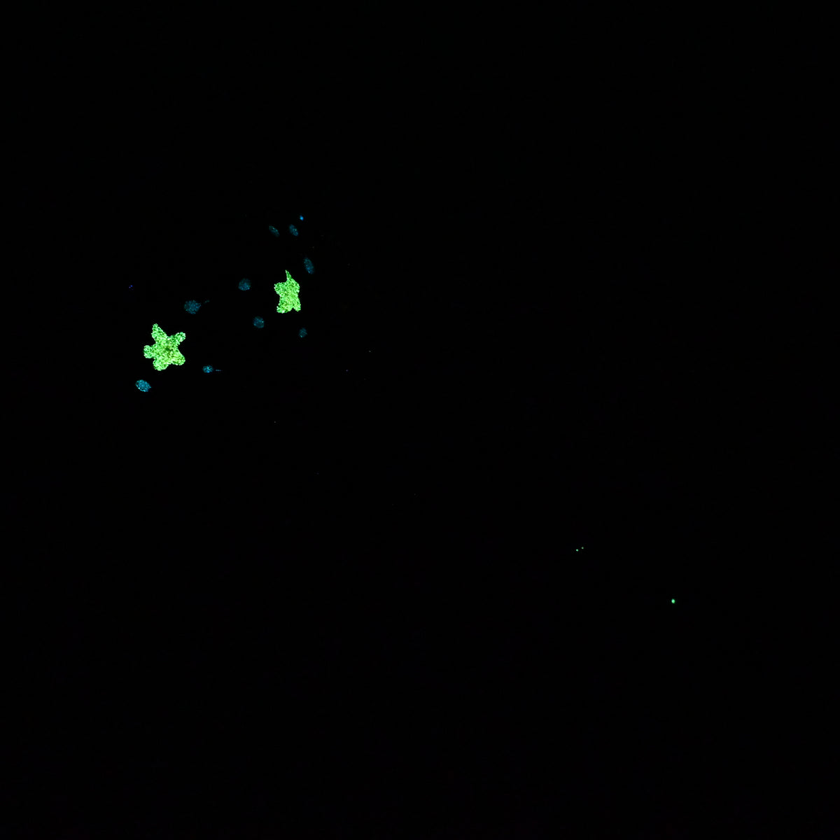 V3SKA36 Vaeriya Medium 0030 UV GITD CS