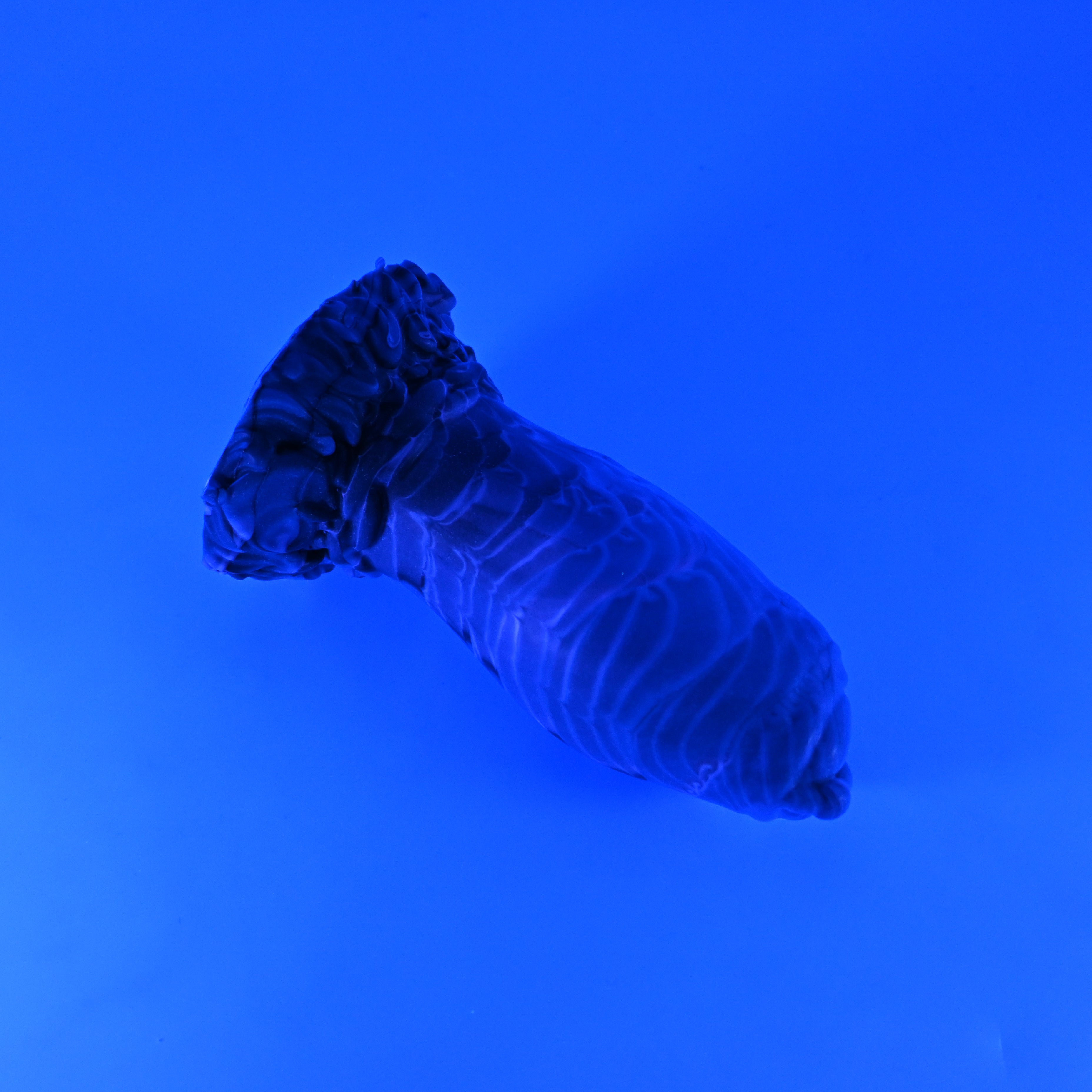 82MJZ03 Hue Small 0050 UV GITD