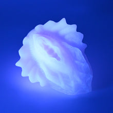 Load image into Gallery viewer, C2SFV84 Calypso Small 0030 UV GITD
