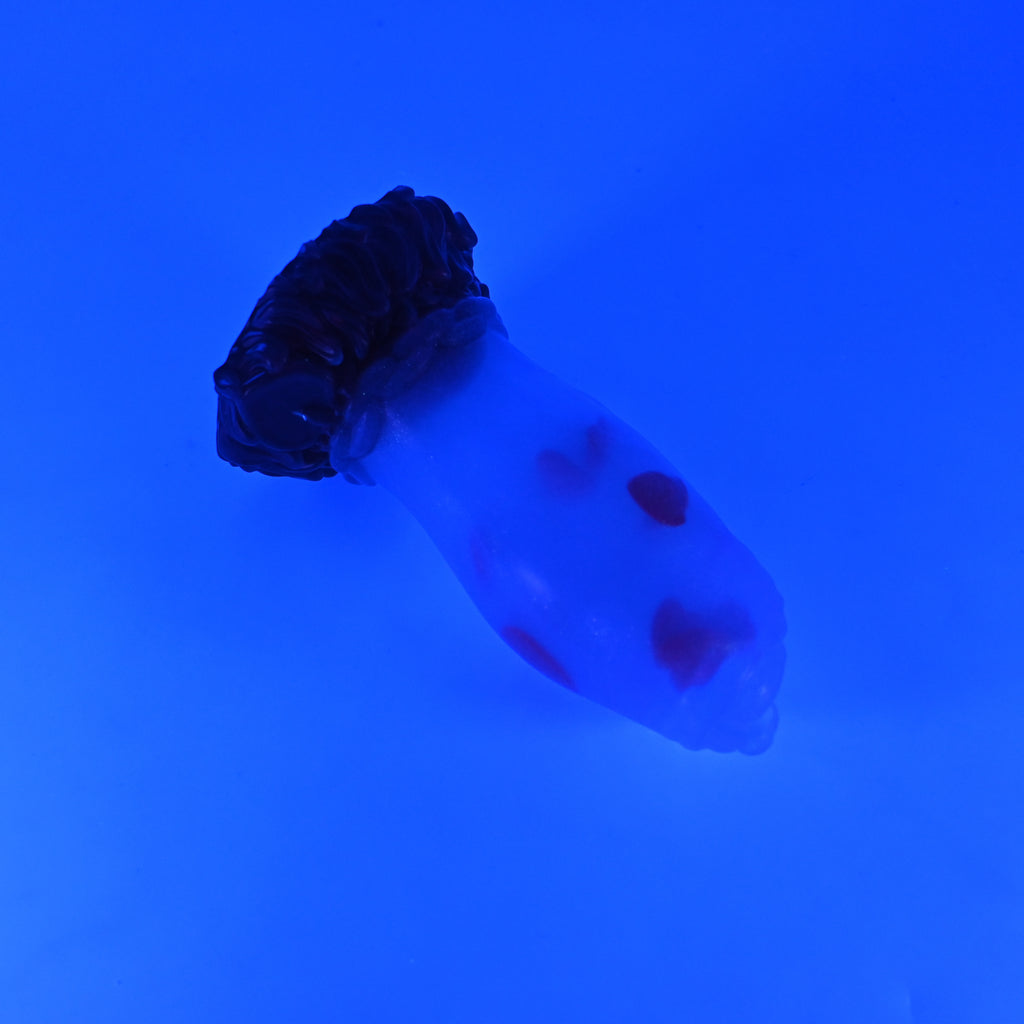 82TJZ06 Hue Small NC 0031 UV GITD CS