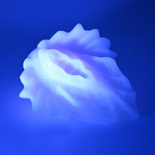 Load image into Gallery viewer, C4SFV87 Calypso Large 0030 UV GITD
