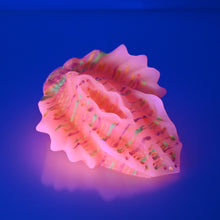 Load image into Gallery viewer, C2XEV20 Calypso Small 0020 UV GITD
