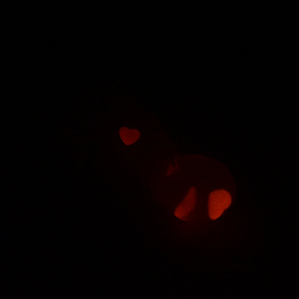 72TJY95 Terra Small NC 0031 UV GITD CS