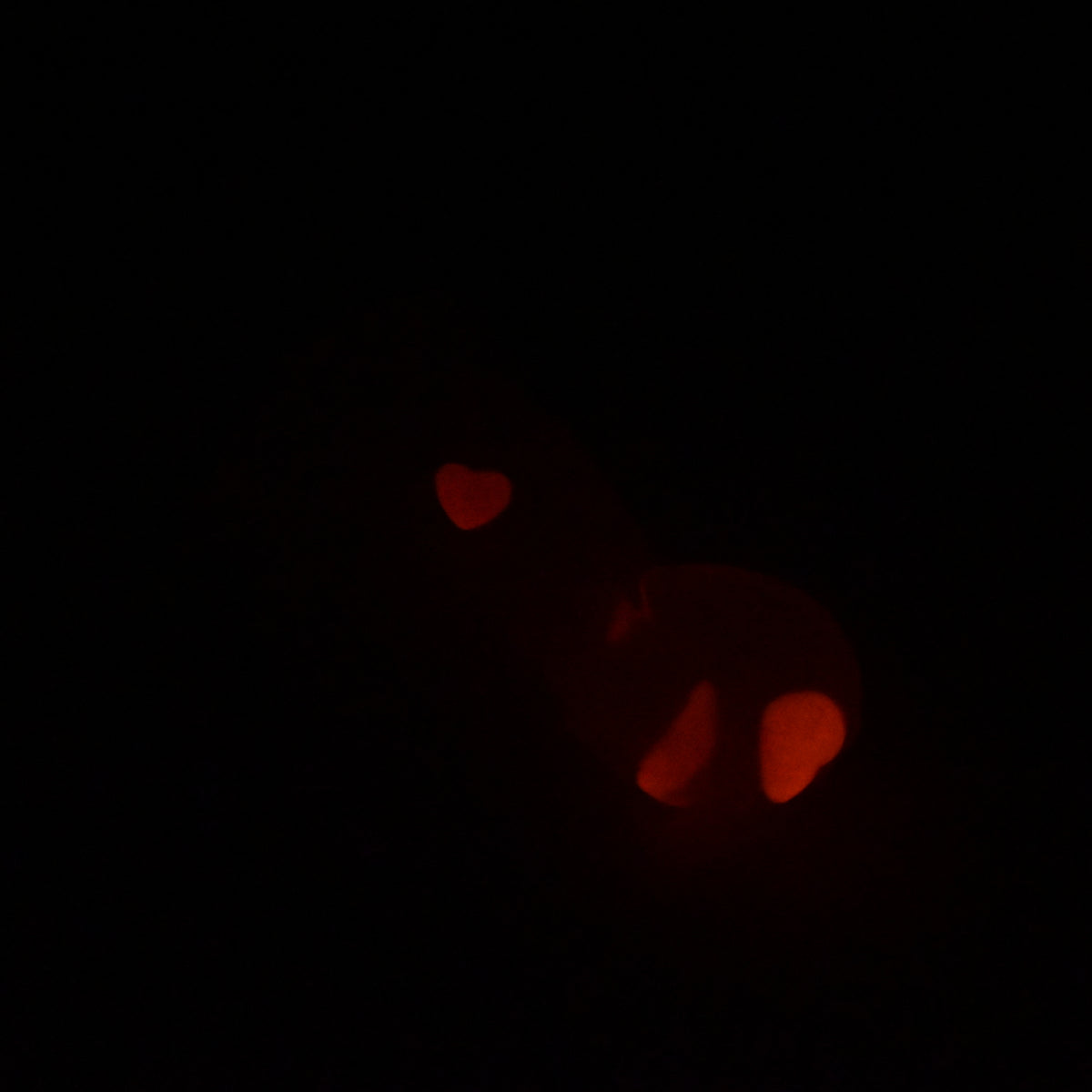 72TJY95 Terra Small NC 0031 UV GITD CS