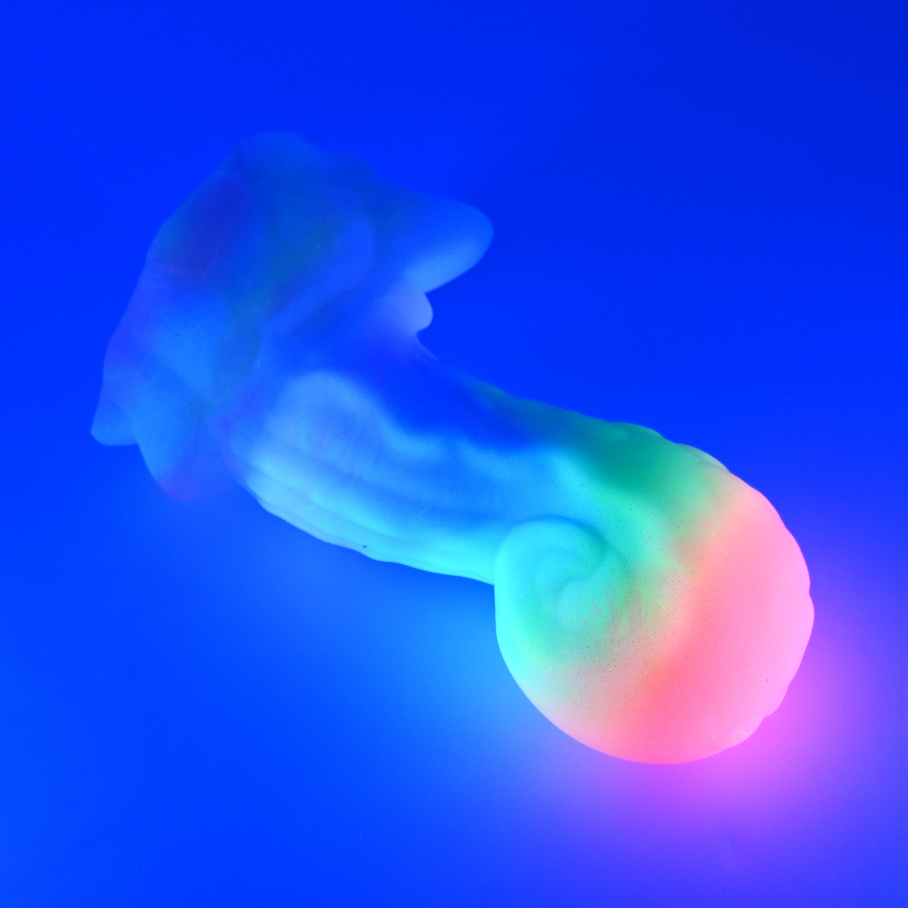 74SJY00 Terra Large 0030 UV GITD