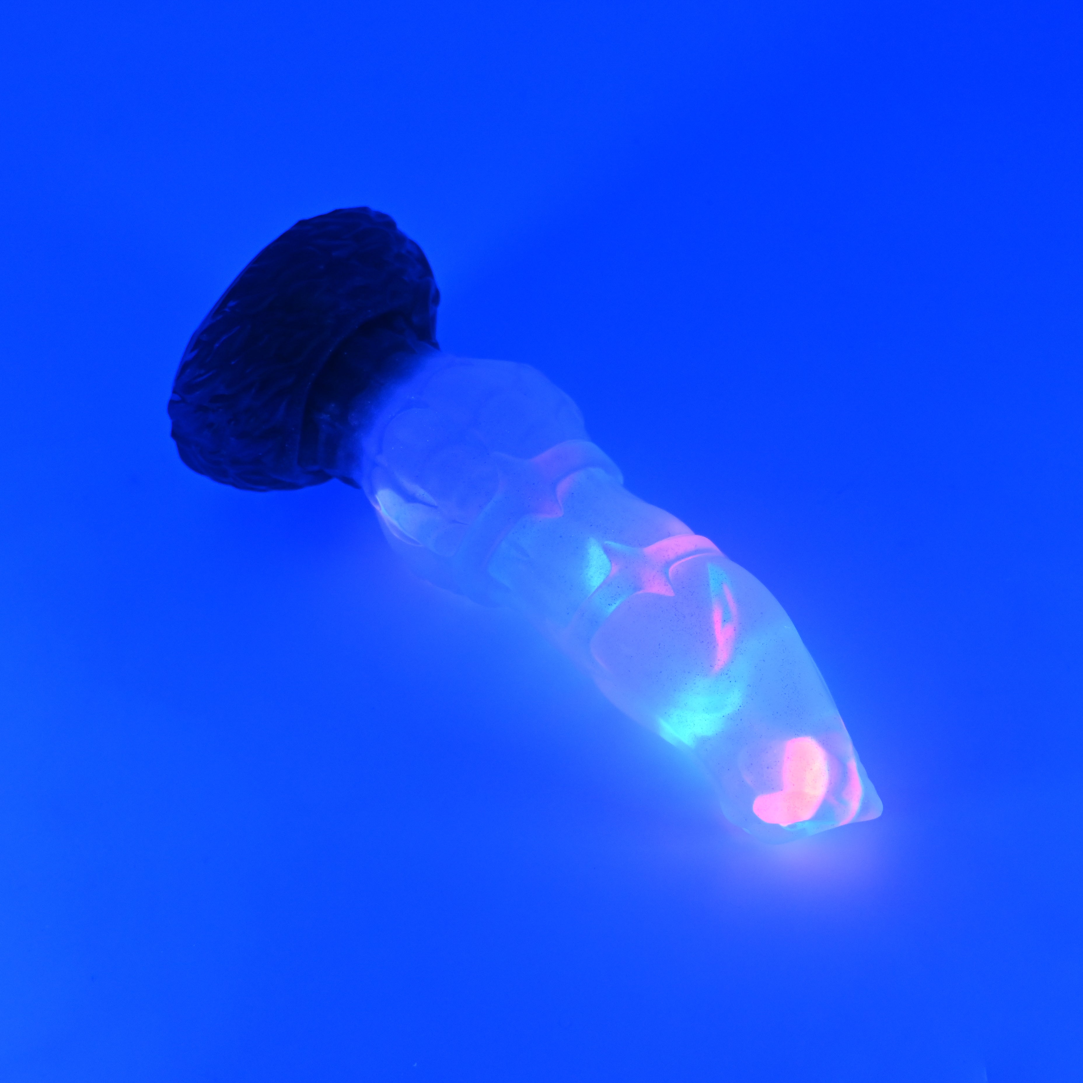 H1TJZ54 Hellion XS NC 0031 UV GITD CS