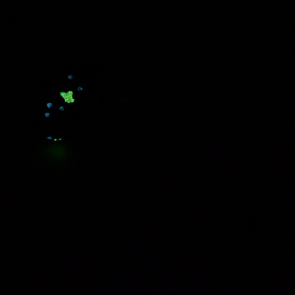H2SJZ60 Hellion Small 0030 UV GITD CS