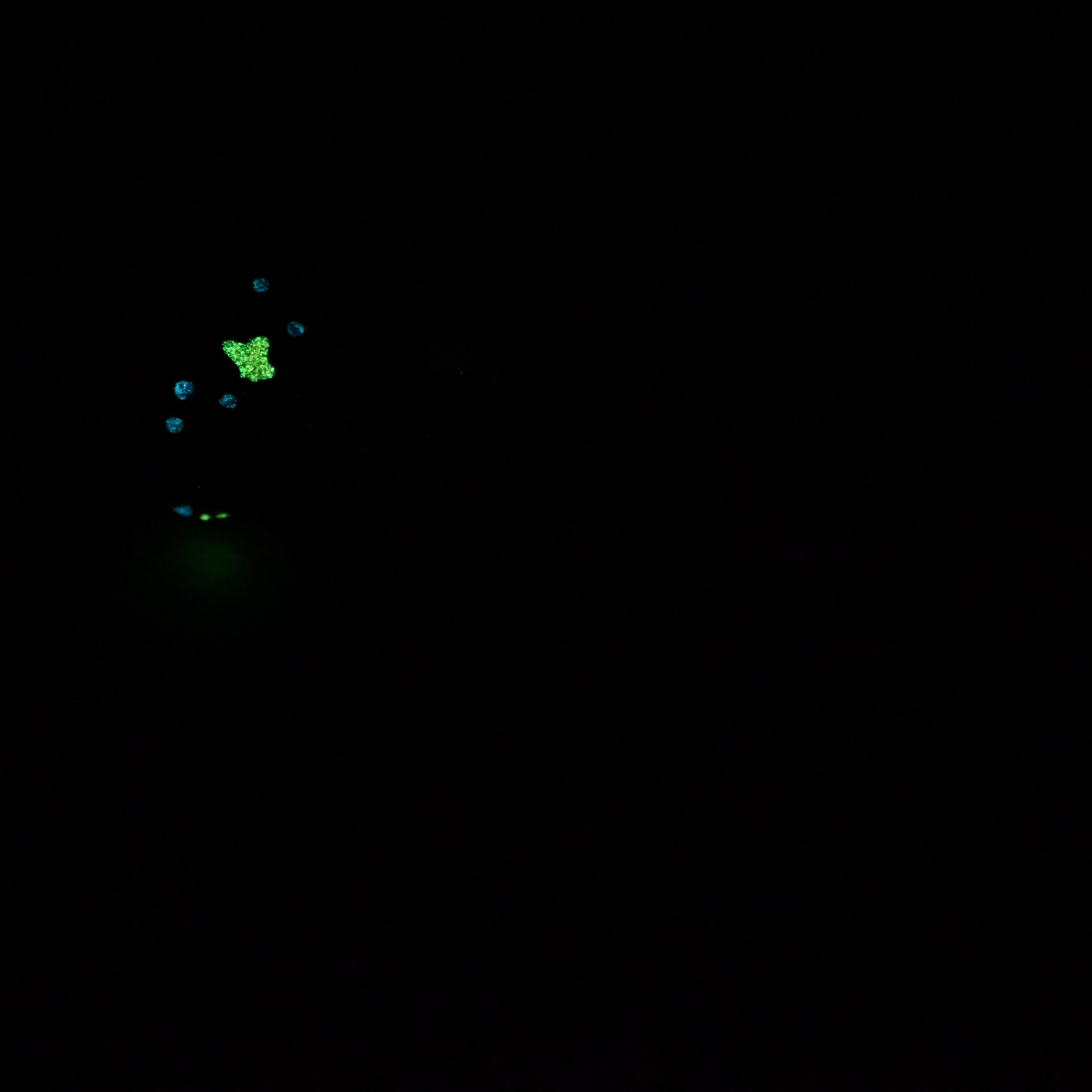 H2SJZ60 Hellion Small 0030 UV GITD CS