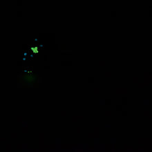 Load image into Gallery viewer, H2SJZ60 Hellion Small 0030 UV GITD CS
