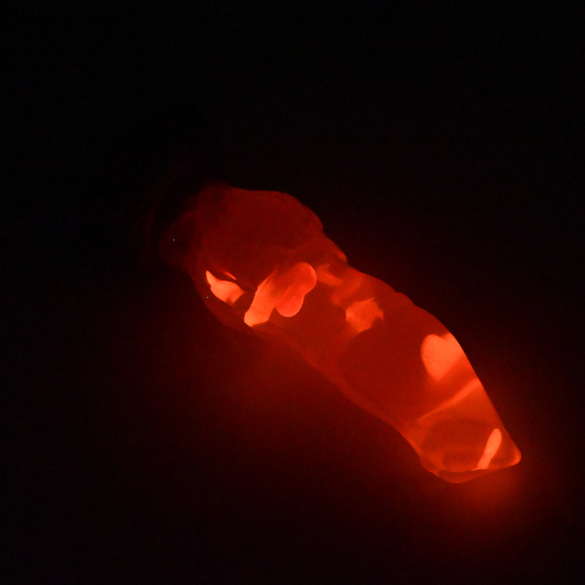 H2TJZ61 Hellion Small NC 0031 UV GITD CS
